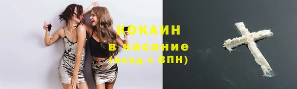 мяу мяу мука Баксан