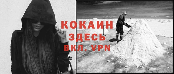 тгк Арсеньев