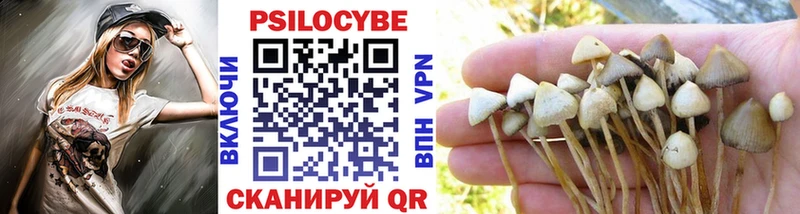 цена   Узловая  нарко площадка состав  Псилоцибиновые грибы Psilocybe 